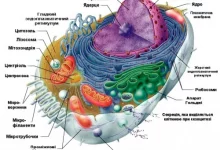 0 Budova Klitunu1 500x370 1 Optimized