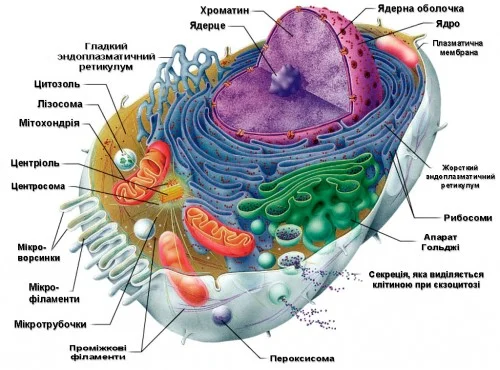 0 Budova Klitunu1 500x370 1 Optimized