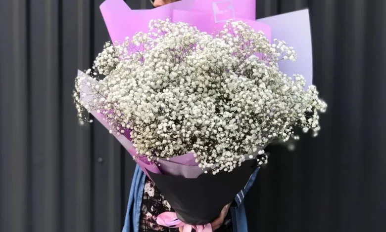 Scdn Com Images Products 1 3406 221777230 424 1 1000x1000 1