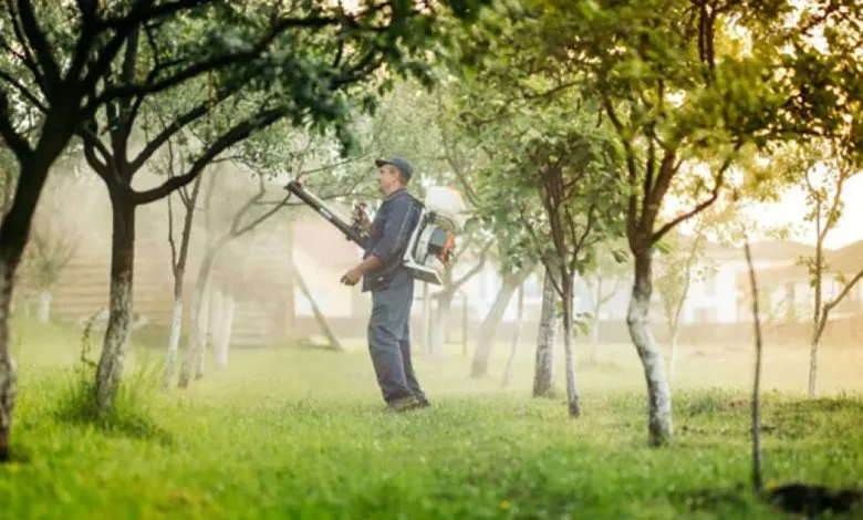 113b960a37e89c1ed5d35a9fda9b0eca