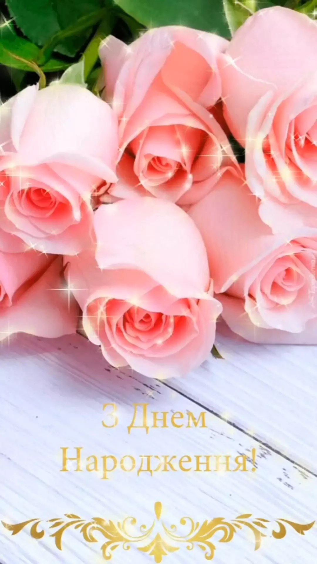 531b30010db9efe49be319ede4bf7442