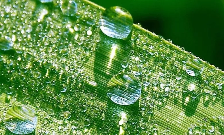 Air Humidity 3 1200x900 1