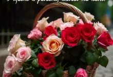 B45fa8b061c4c0b15a15b90f726dc1c35abc9755