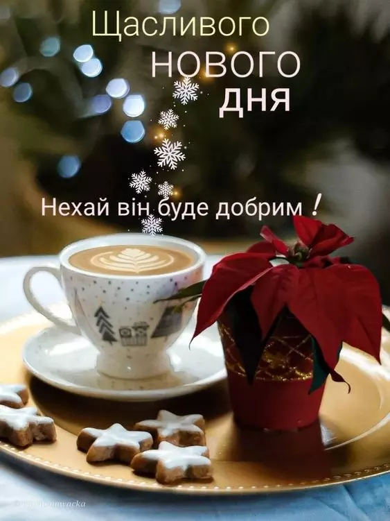 Be09c7c081f203fa849952a9d95b25ab