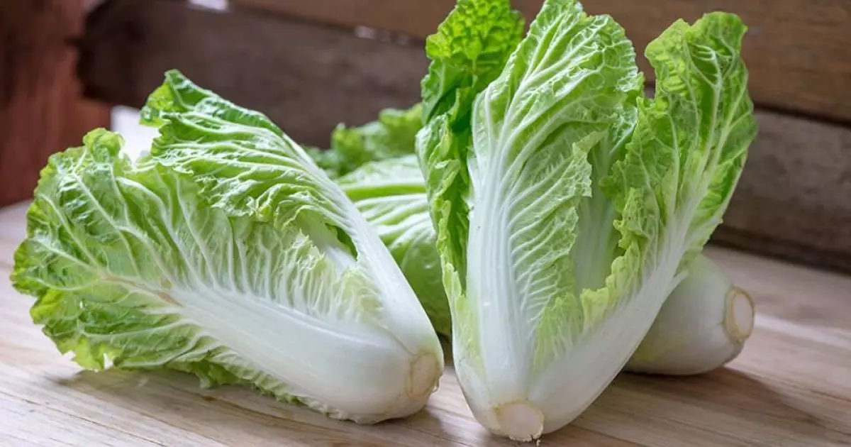 D197e692d3e9e7ce642a3bf4f4a9aecd