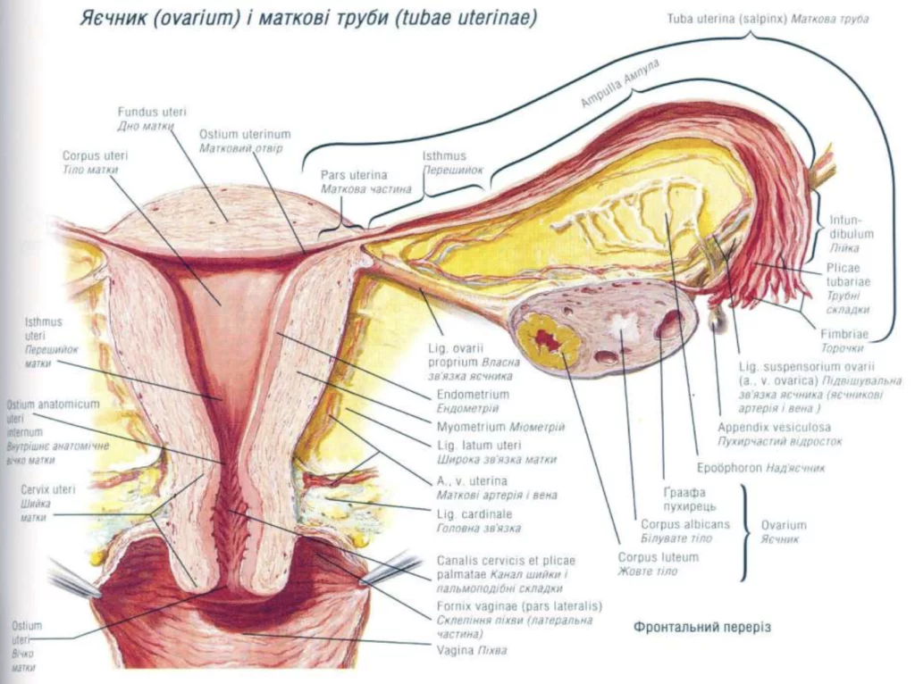 Screenshot At Dec 09 00 02 45 1024x766 1