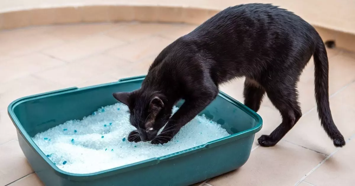 4db843596b640cce9a12221e9ce04b46