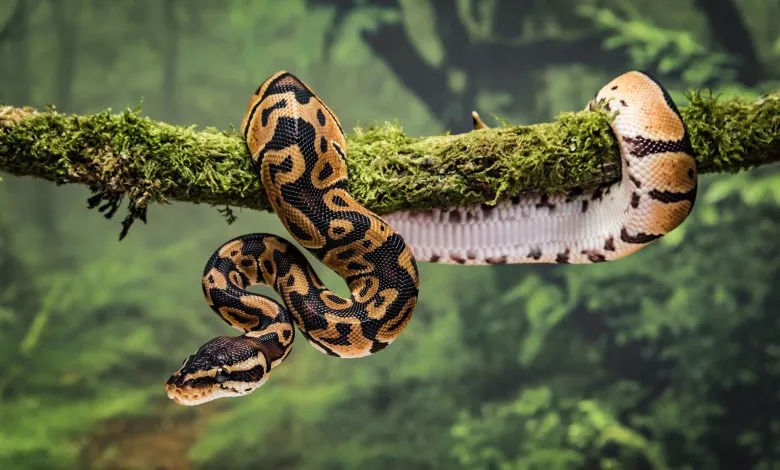 11d0e664bd9da4cf5d1cf8dcb29113bc Ce 2370x1580x0x0 2 1